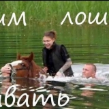 Mogu li konji plivati?